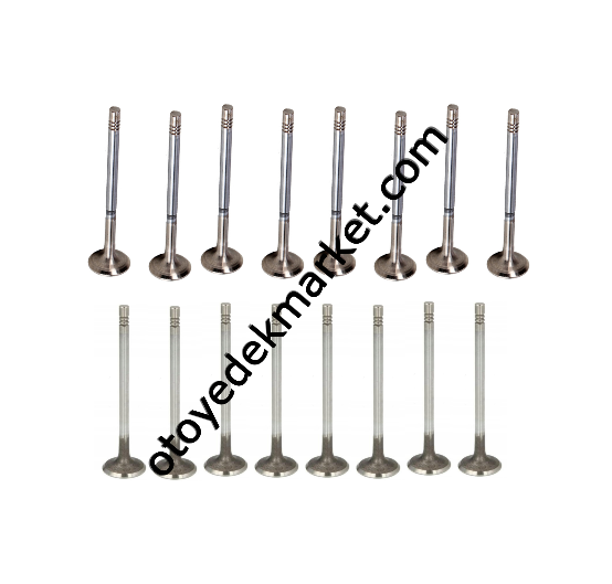 Peugeot 308 (2019-2021) 1.5 BlueHdi Supap Takımı (Orijinal)