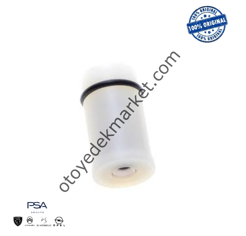 Peugeot Boxer (2020-2023) 2.2 Hdi Silindir Kapağı Çekvalf Tapası (Orijinal)