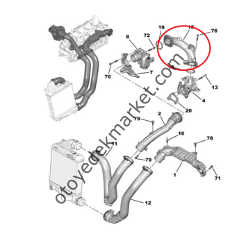 Peugeot 208 (2021) 1.5 Dizel Hava Dozlayıcı Borusu (İthal)